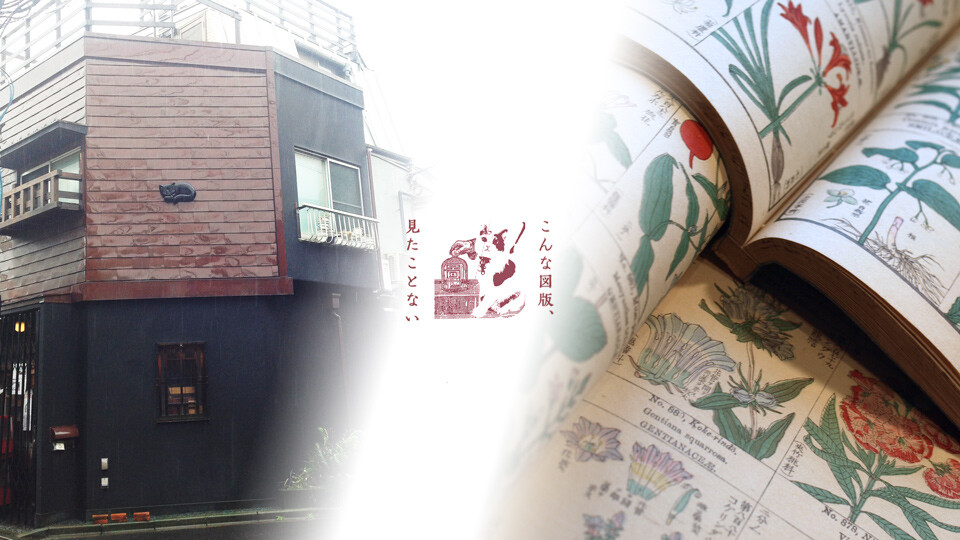 レトロ図版博物館PJT