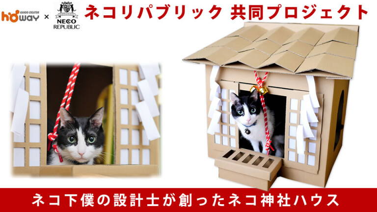 リニューアル中】【日本製】【VILLA】スケルトンボウル付き