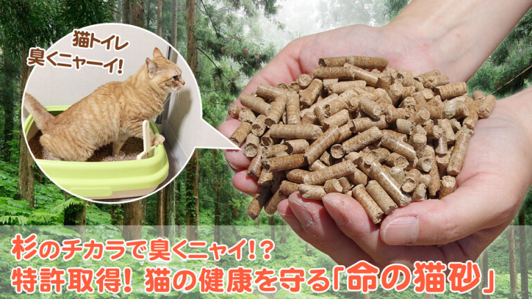 【極美品】犬と猫の救急救命手技 Amazon.co.jp: 命がこぼれおちる前に: 収容された犬猫の命を