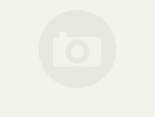 先日、全て発送いたしました。